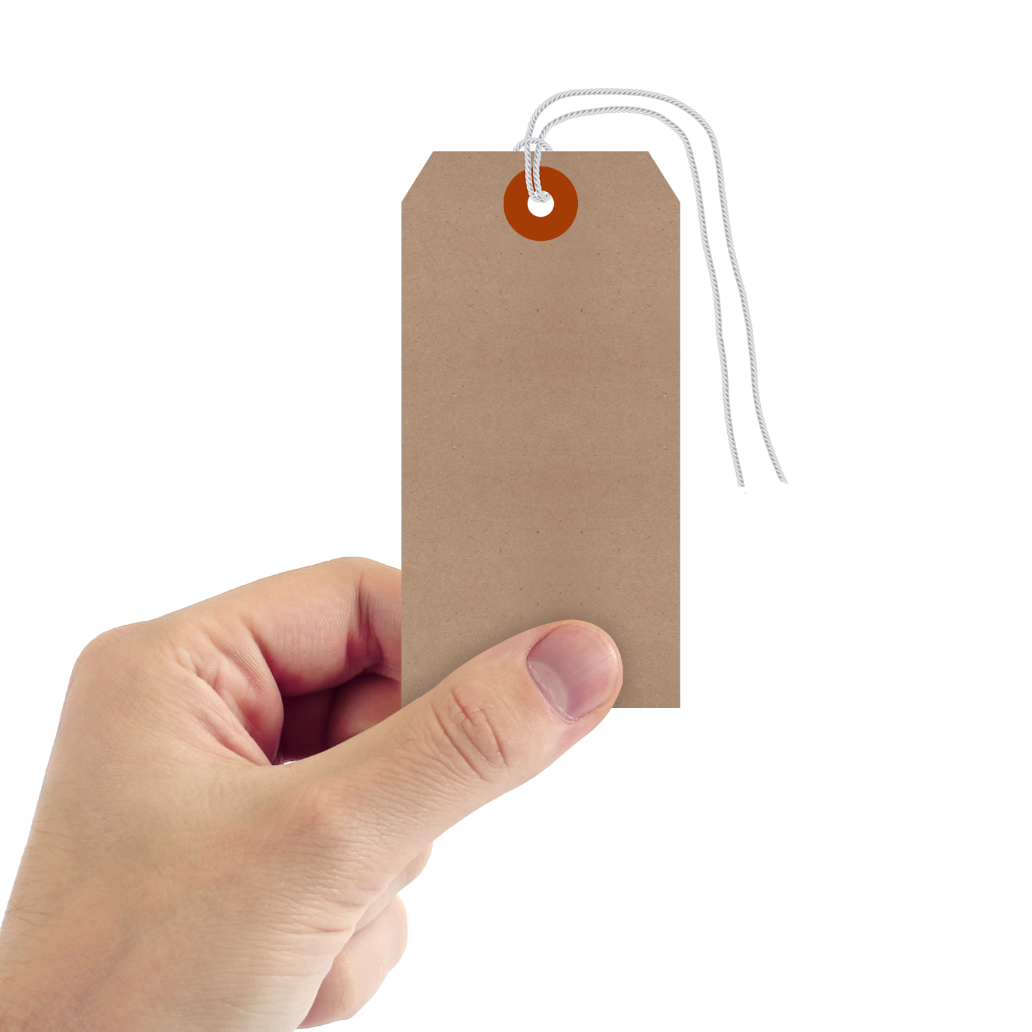 Recycled Kraft 11-point Cardstock Tags (with looped strings)